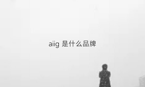 aiig是什么品牌(i·g是什么牌子)